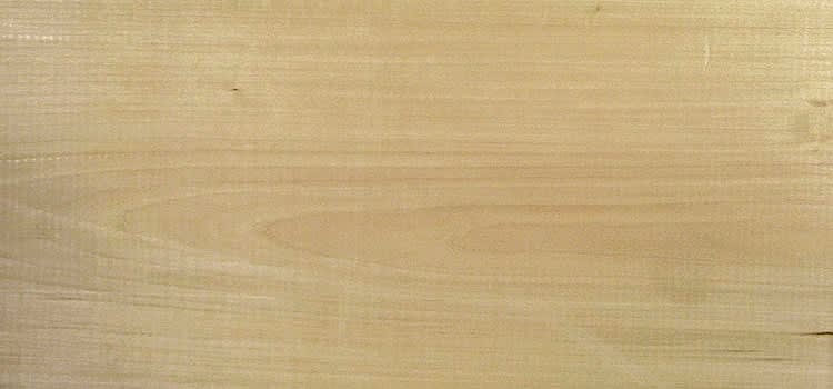 4/4 BASSWOOD
