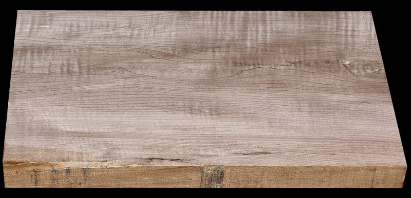 Paint Grade Maple Body Blank - 22" x 14" x 1 13/16"+ - $60.00