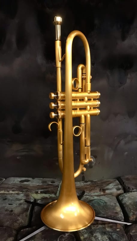 Taylor Bb trumpet - Piranha