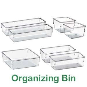 ORGANIZING BIN