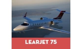 Aircraft Security Lear 45/75 Medeco Nose Avionics, Baggage & Aft Compartment Door Lock for aircraft doors and compartments.