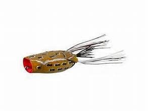 ZOOM Poppin Frog Brownie