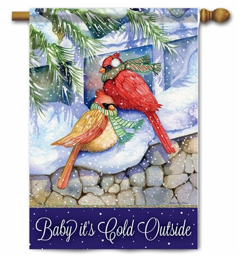 Baby It's Cold Outside Decorative House Flag