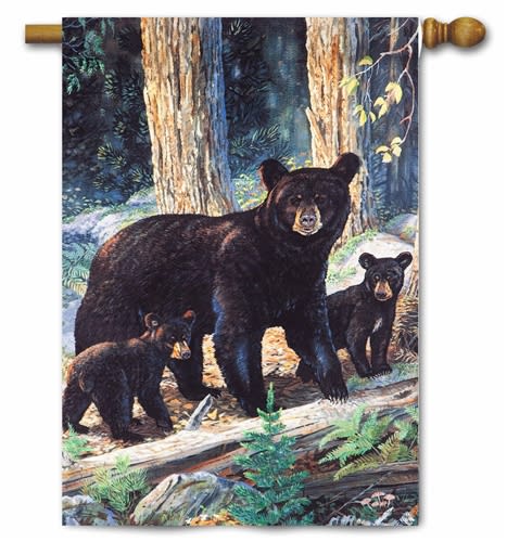 Woodland Lessons Decorative House Flag