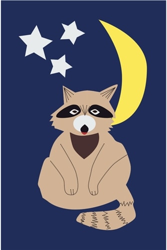 Raccoon Handcrafted Mid Size House Flag