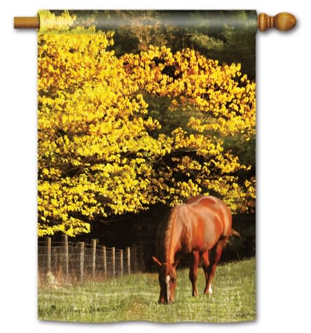 Out to Pasture BreezeArt Decorative Standard House Flag