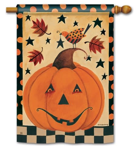 Country Pumpkin BreezeArt Standard House Flag
