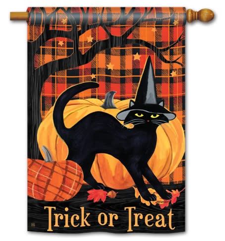 Witch Hat Cat BreezeArt Standard House Flag