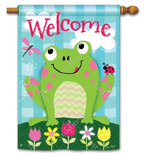 Happy Frog BreezeArt Standard House Flag