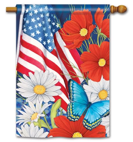 Red, White, and Blue BreezeArt Standard House Flag