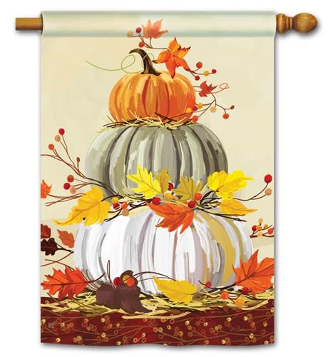 Neutral Pumpkins BreezeArt Standard House Flag
