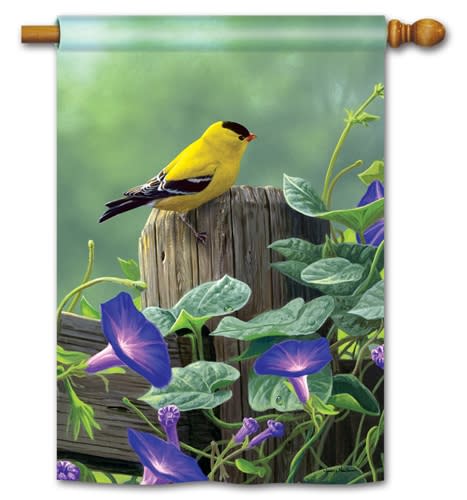 Goldfinch Perch BreezeArt Standard House Flag