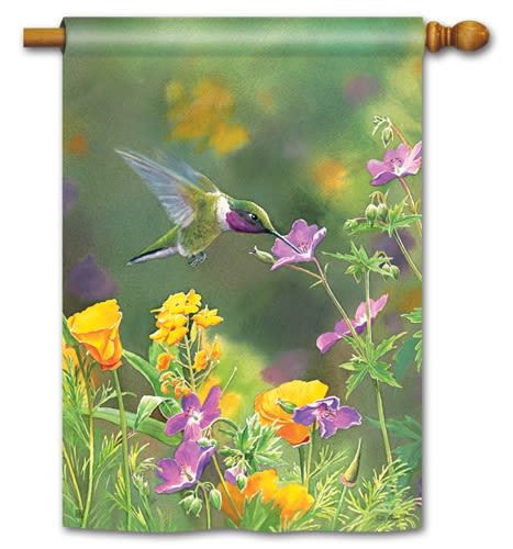 Hummingbird Hover BreezeArt Standard House Flag