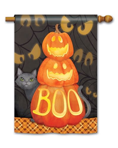 Who's There? BreezeArt Standard House Flag