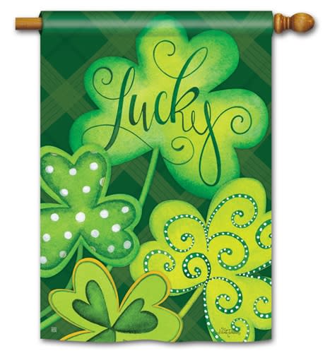 Lucky BreezeArt Standard House Flag