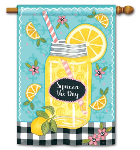 Squeeze The Day BreezeArt Standard House Flag