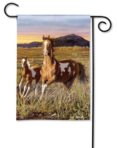 Wild Pinto BreezeArt Garden Flag