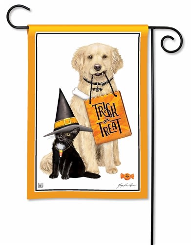 Tricks or Treats BreezeArt Garden Flag