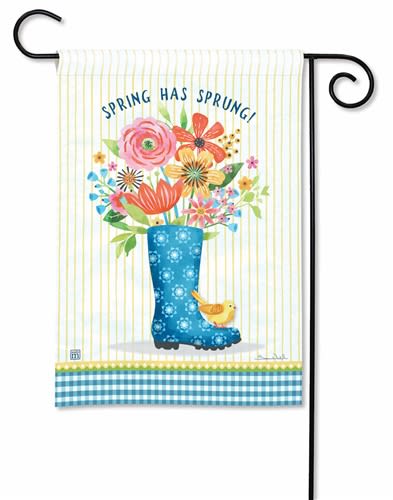 Spring Has Sprung BreezeArt Garden Flag