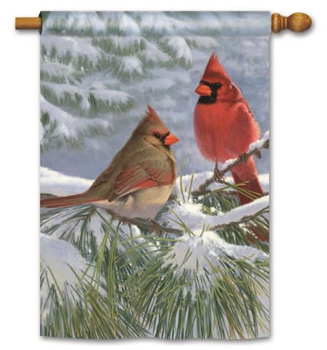 Winter Light Cardinal Standard Flag