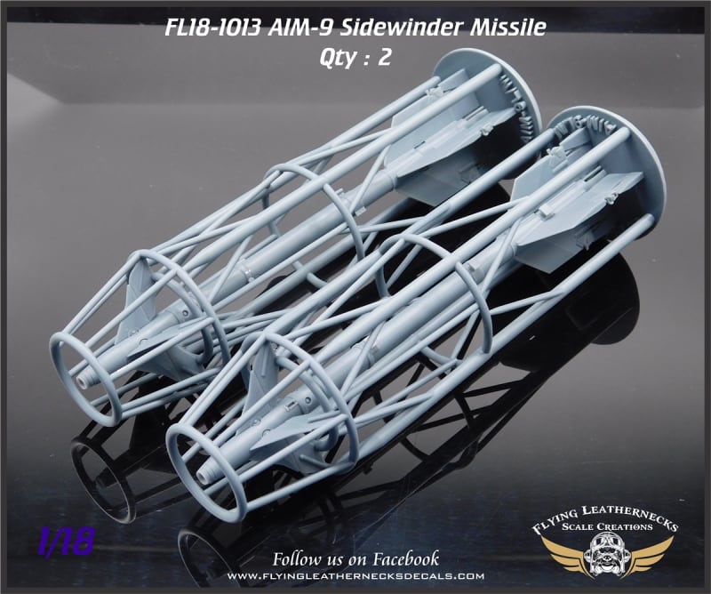 FL18-1013 AIM-9L/M Sidewinder Missiles