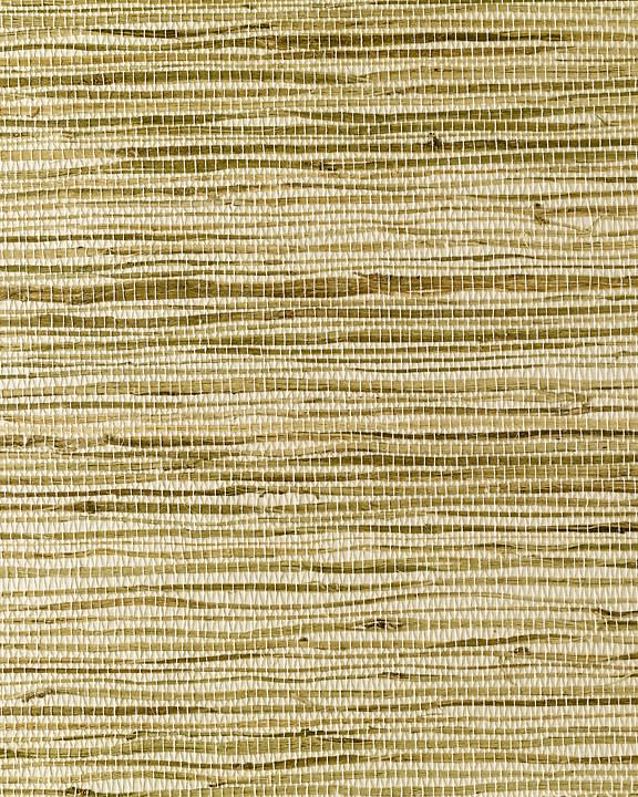 photo of Olive Blend Jute Grasscloth from Grasscloth + More photo of Olive Blend Jute Grasscloth from Grasscloth + More