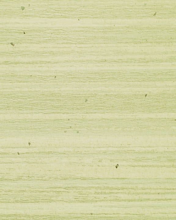 natural rice paper wallcovering