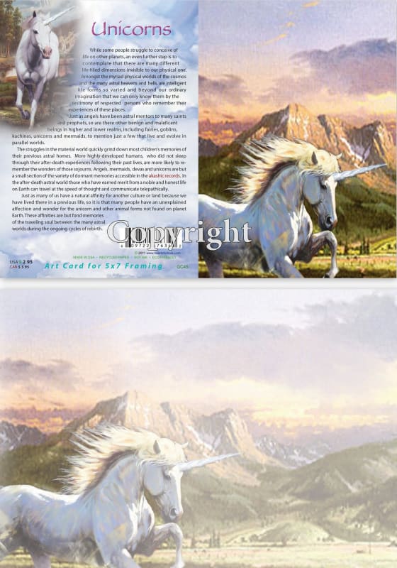 GC-45 Unicorns Greeting Card