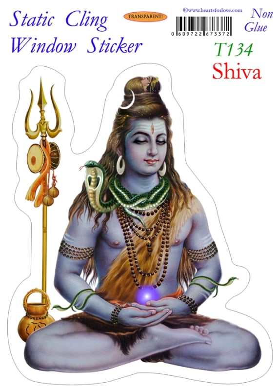 T-134 Shiva