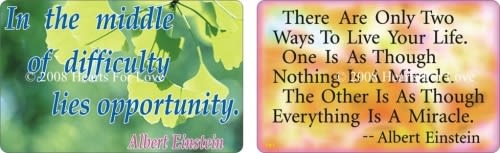 WA-181 Albert Einstein Quotes - Wallet Altar
