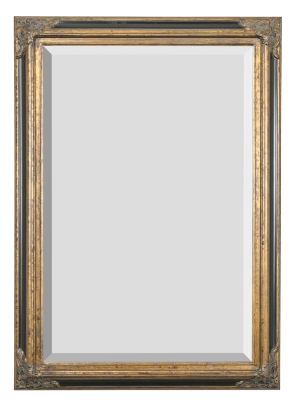 Mini Grand Victorian Mirror in Antique Gold with Black Finish by AFD Home - AFD-10041463