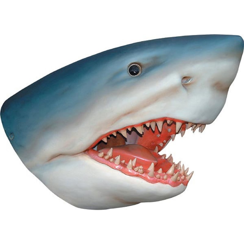 Great White Shark Wall Bust in Multicolored Hand-Painted Finish by AFD Home - AFD-10195534