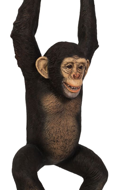 Hanging Monkey Statue Jungle Jimmy in Multicolored Hand-Painted Finish by AFD Home - AFD-11097098