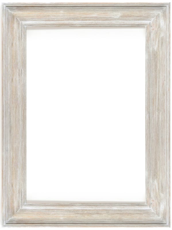 Misty Woods Frame in Distressed White Wash Finish by AFD Home - AFD-12008368
