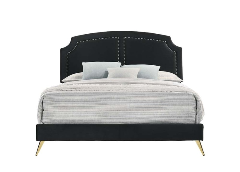 Zeena Bed in Black Velvet Finish by Acme - BD01176Q