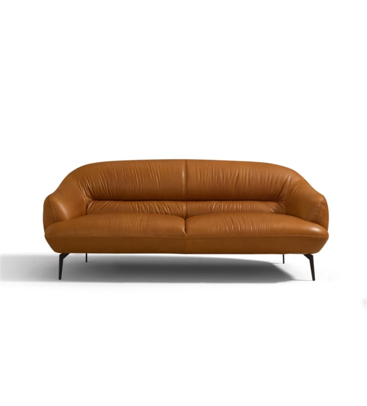 Leonia Loveseat in Cognac Leather Finish by Acme - LV00938