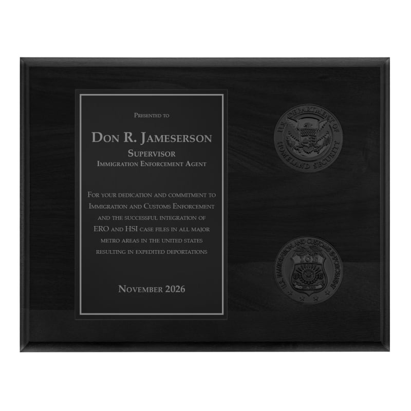 Coins Plaque - Blackout (ICE)