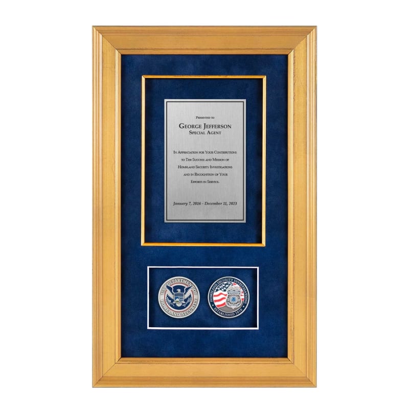 Recognition Shadow Box (Gold) w/ Coins (HSI)