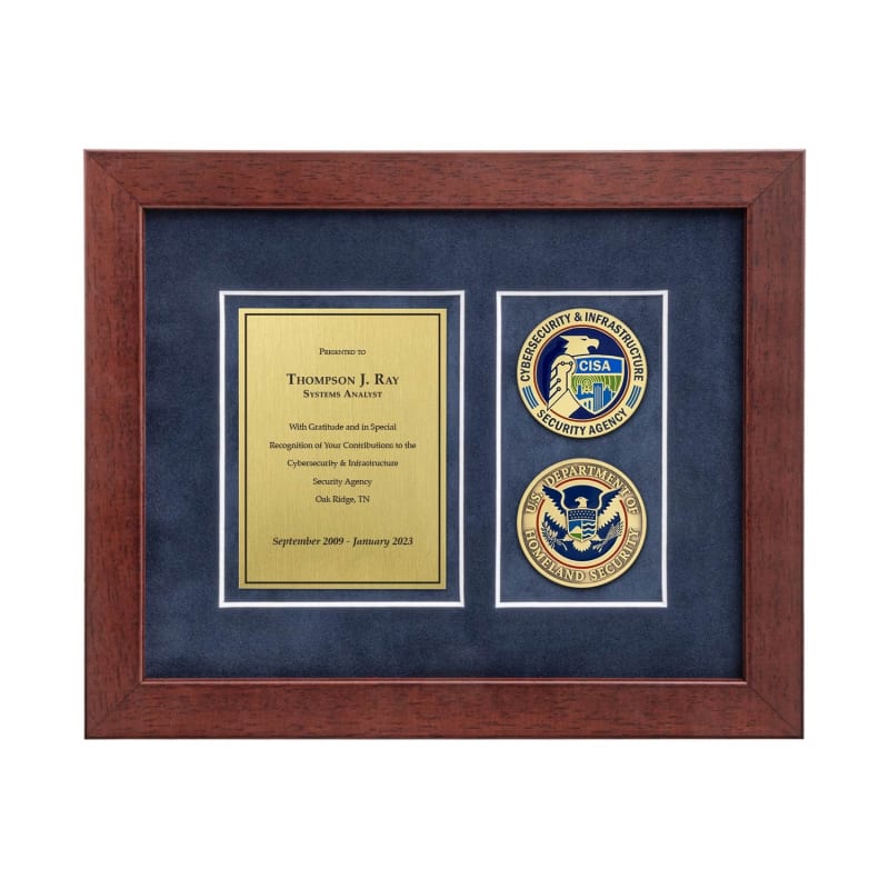 Desk Frame w/ 2 Coins Award (CISA)