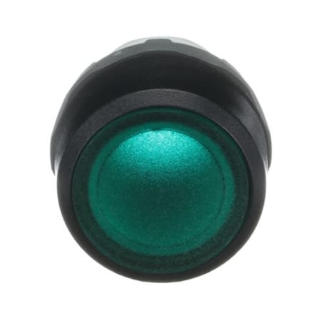 mp211g pb main grn flush ill