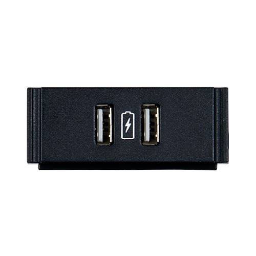 AMX HPX-N102-USB-PC HydraPort Dual USB Power Module with Printed Charging Symbol AMX HPX-N102-USB-PC HydraPort Dual USB Power Module with Printed Charging Symbol