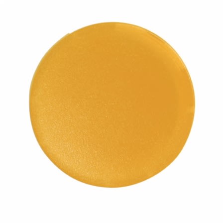 m22xdly flsh yel button for ill pb