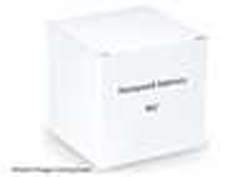 462 Replacement (1.5VDC) AAA Lithium Battery  for ProSeries Sirens