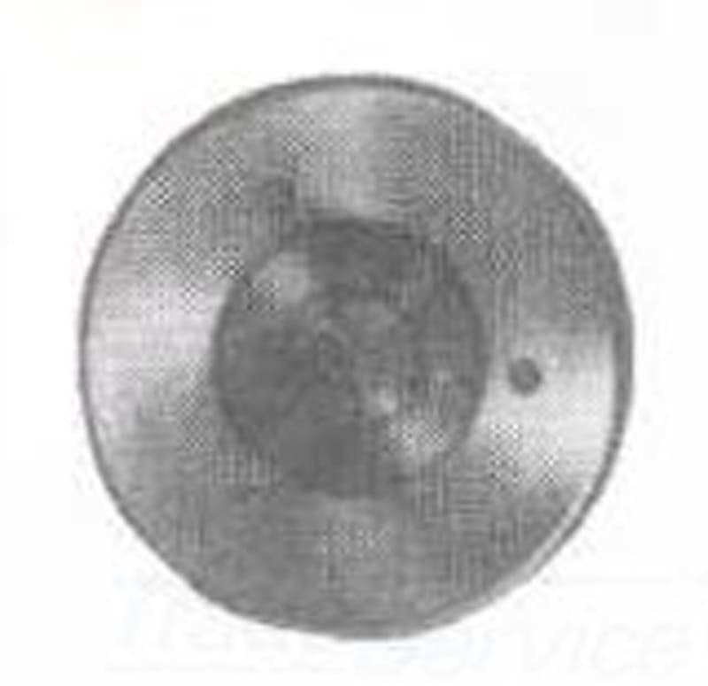 Wiremold 896CK Round Single Receptacle Cover, 5-1/2" Diameter, Metallic
