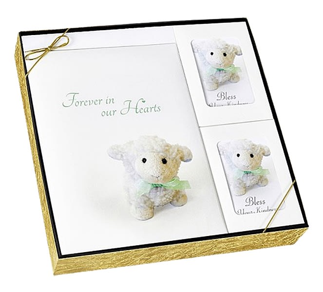 Forever in our hearts childrens gift box set used in funeral service operations, from lynch supply 