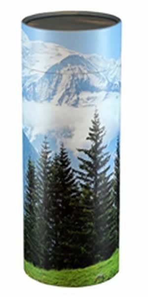 mini cremation scattering tubes 
tubes contain no metal our plastic
measures 12.6" h x 5" diameter
200 cubic inch capacity