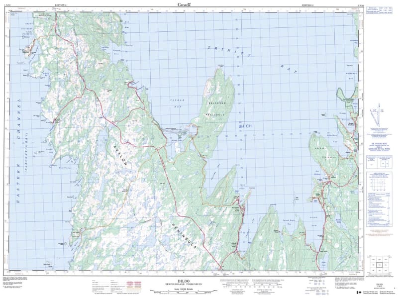 001N12 - DILDO - Topographic Map