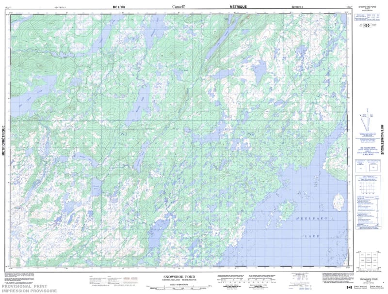 012A07 - SNOWSHOE POND - Topographic Map