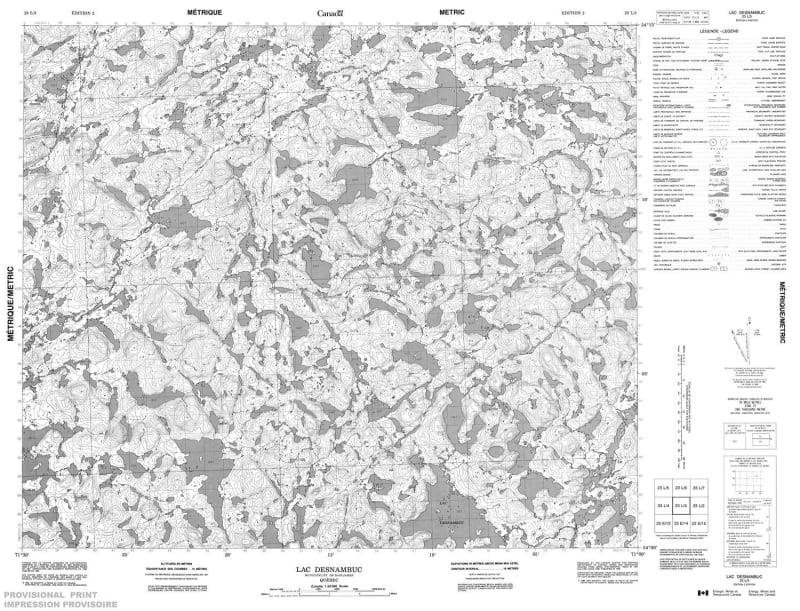 023L03 - LAC DESNAMBUC - Topographic Map