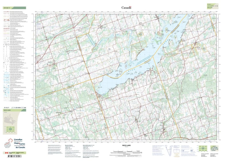 031D01 - RICE LAKE - Topographic Map